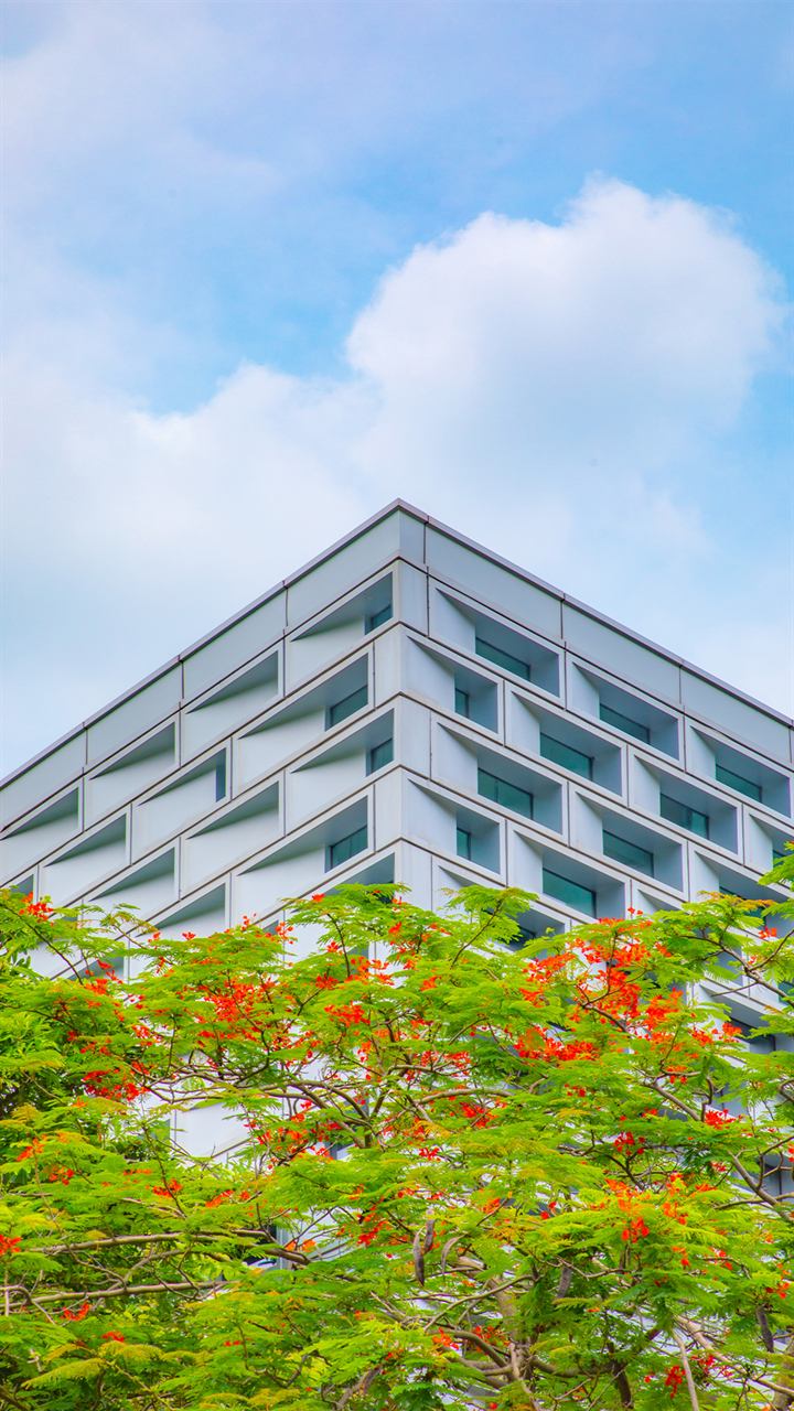 南方科技大学校园实景